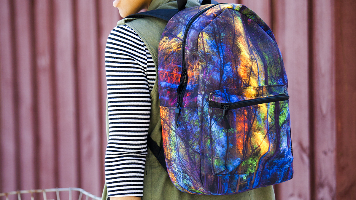 backpack 1