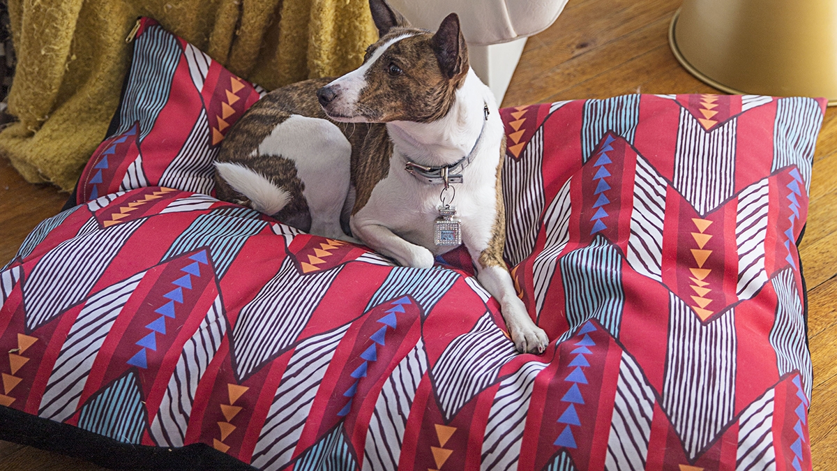 pet bed 4