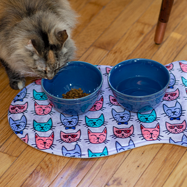 pet feeding mats